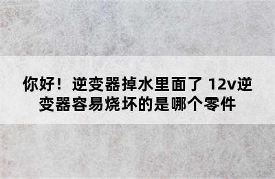 你好！逆变器掉水里面了 12v逆变器容易烧坏的是哪个零件